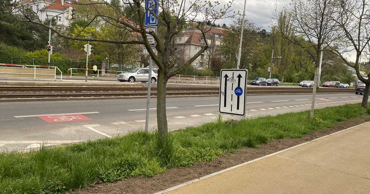 Cyklista může jet po silnici, i když vedle ní vede souběžně cyklostezka: Rozhoduje směr jízdy i dopravní značení
