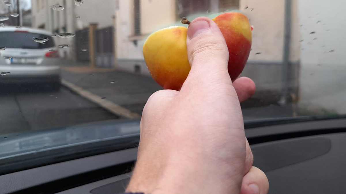 Čeští řidiči si teď ve velkém dávají jablko do auta. Řeší tím celoživotní problém nás všech, obzvlášť nyní v zimě