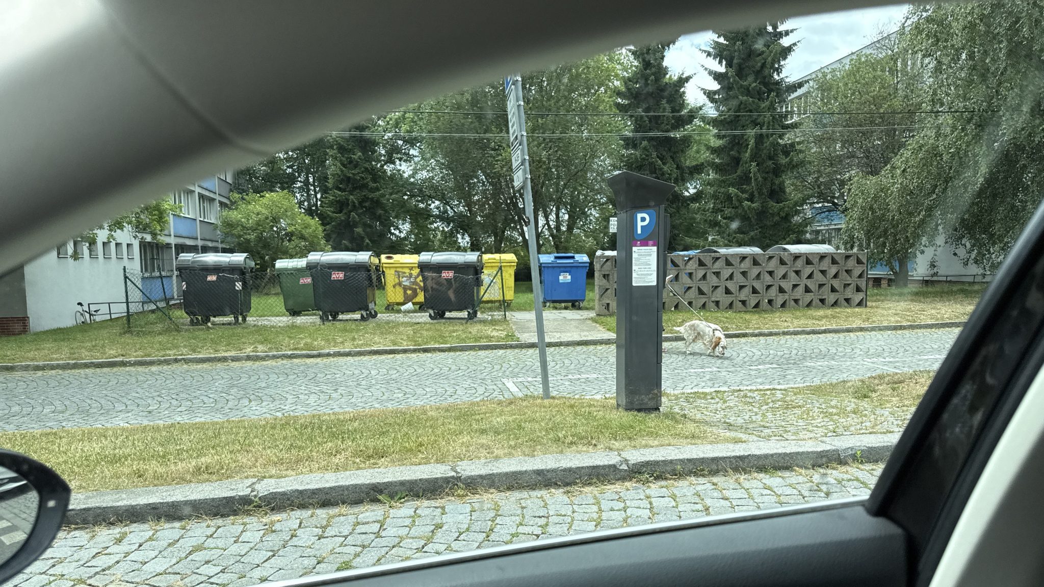 Trik, který umožňuje parkování zdarma: Na placených zónách i parkovištích. Zmáčkněte toto tlačítko na automatu