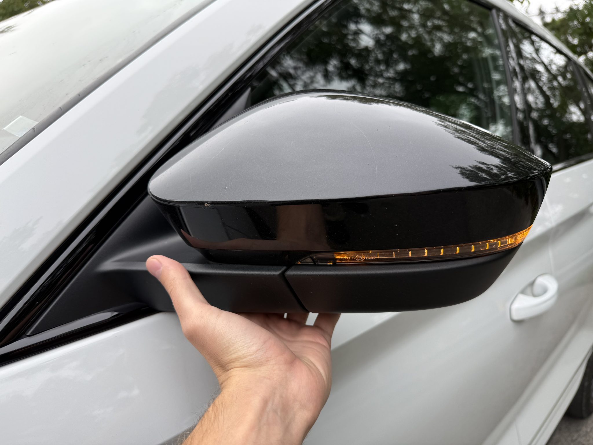 Máte auto zaparkované venku? Igelitový sáček na zrcátku vám ušetří opravu. Období „ptačích útoků“ v Česku začalo