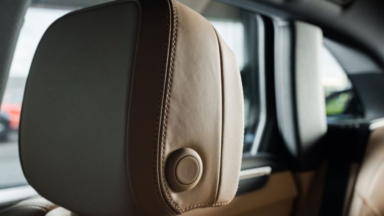 Nad opěrkou hlavy v každém autě je schovaná vychytávka: Znáte její funkci? Má praktické využití