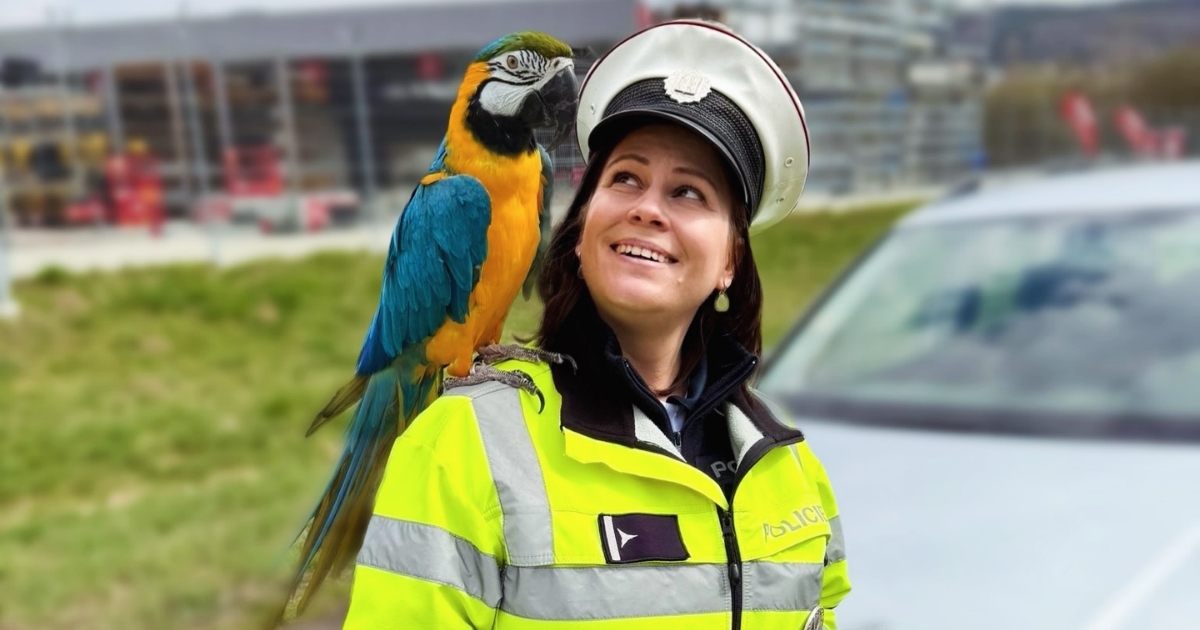 Hlídka zastavila auto a na sedadle seděl papoušek. Policistům vykouzlil úsměv a nakonec je i pobavil