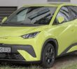 BYD Dolphin Surf
