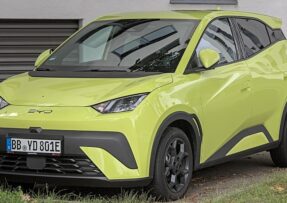BYD Dolphin Surf