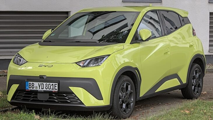BYD Dolphin Surf